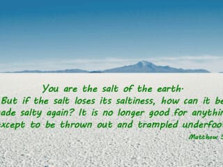 'Salt Hinders Decay'