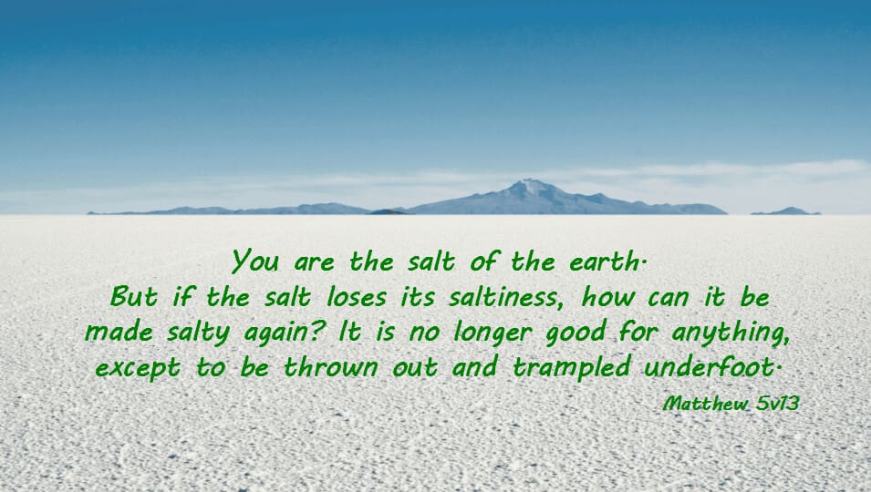 Salt of the earth - Christian Values in Education, CVE Scotland