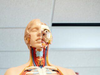 MIND and BODY