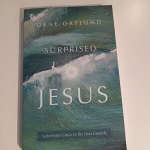 Surprised by Jesus book cover