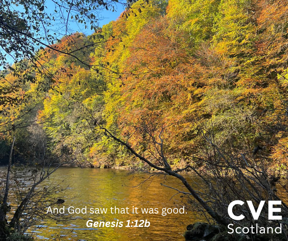 Autumn scene in Scotland